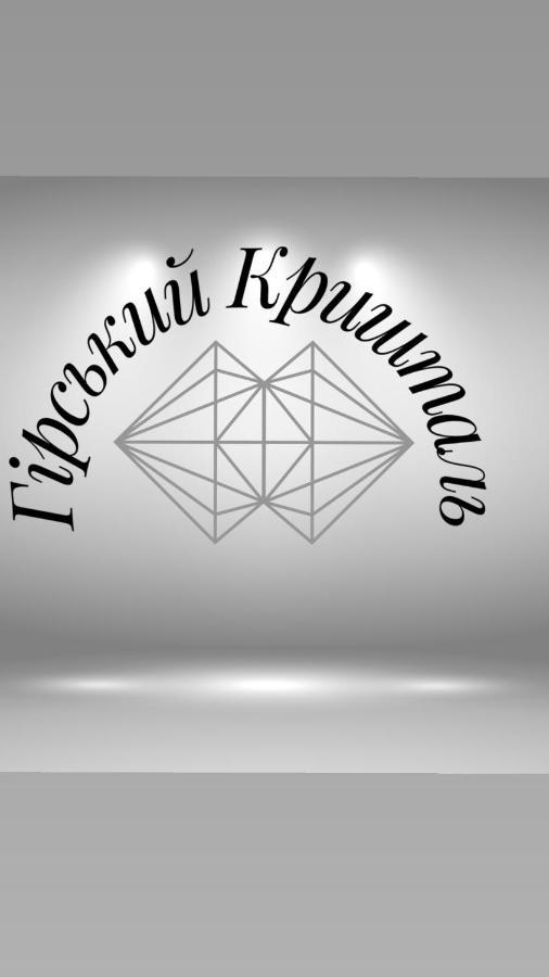 Гірський Кришталь Διαμέρισμα Skole Εξωτερικό φωτογραφία